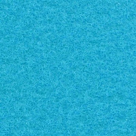 Expostyle matta, hawaiian ocean